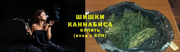 стаф Новозыбков