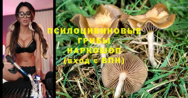 spice Новокубанск